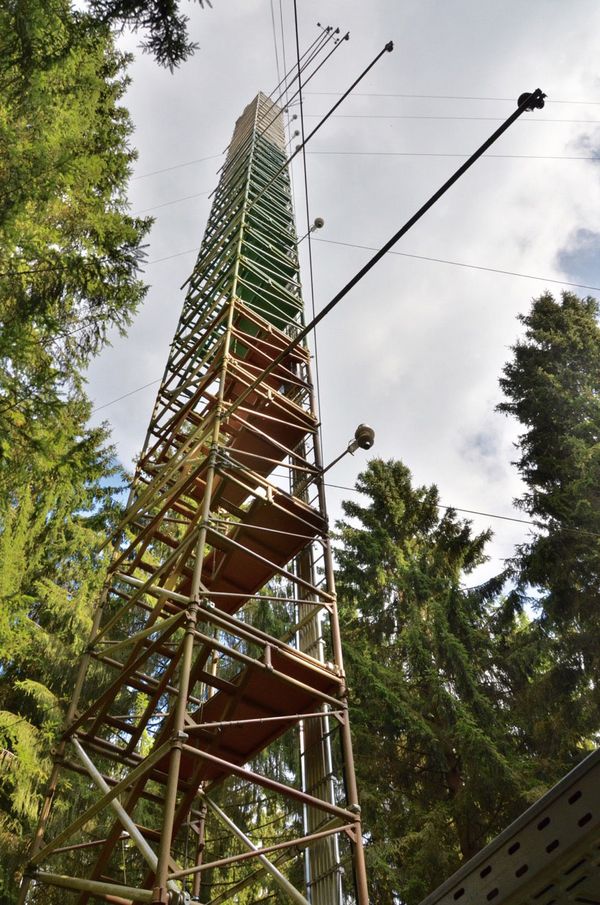 Der 38 m hohe Eddy-Kovarianz-Turm im bewaldeten Teil des Messstandortes Wüstebach.