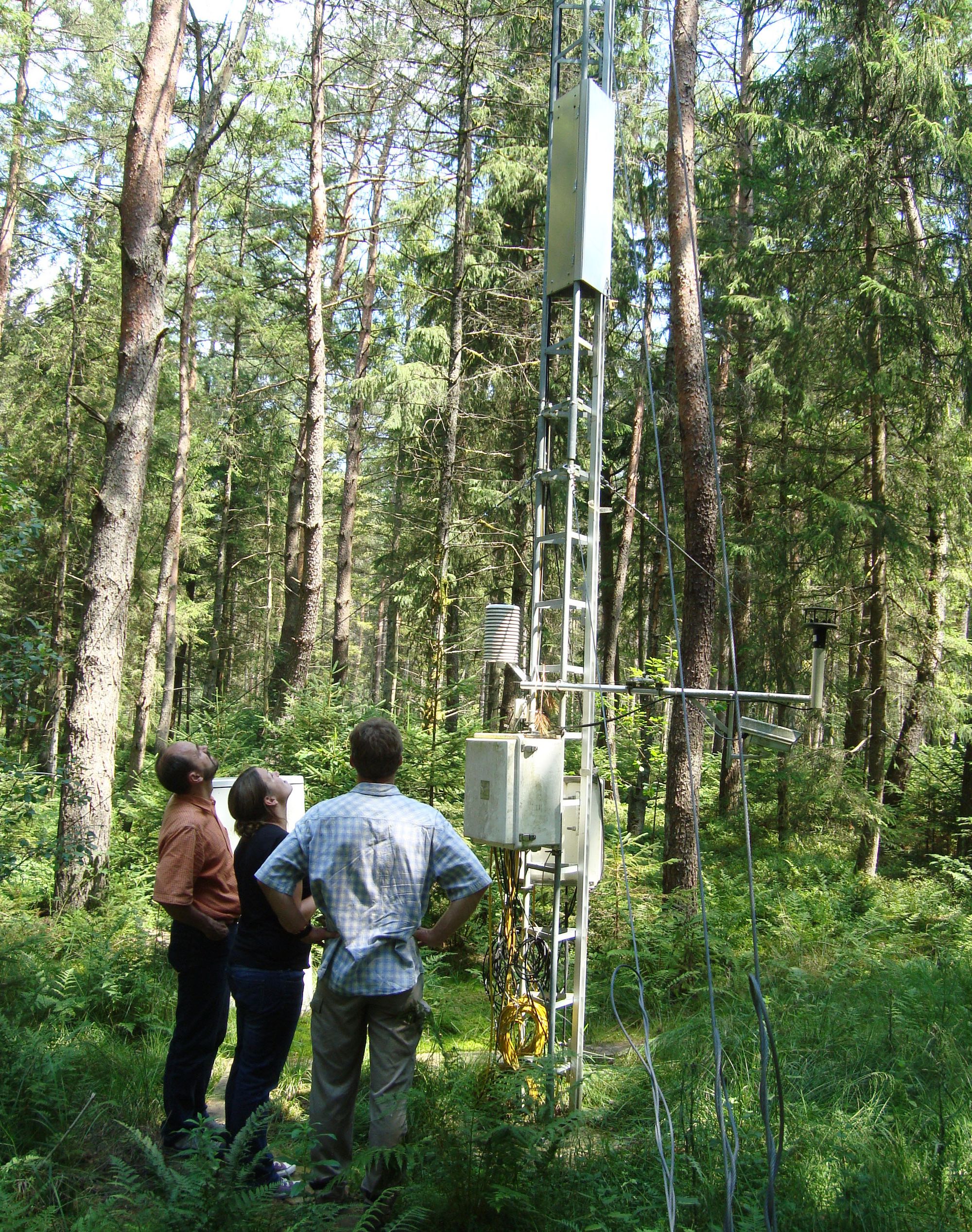 Der Messturm in einem vor rund 100 Jahren entwässerten und vor knapp 50 Jahren aufgeforsteten Bereich des ehemaligen Hochmoores ist tief im Mineralboden verankert.