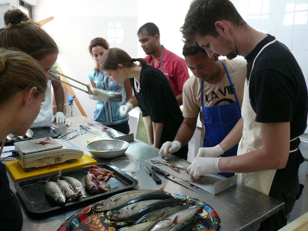 INDP-Mitarbeiter geben Teilnehmern der Summer School einen Einblick in die Analyse der lokalen Fischbestände