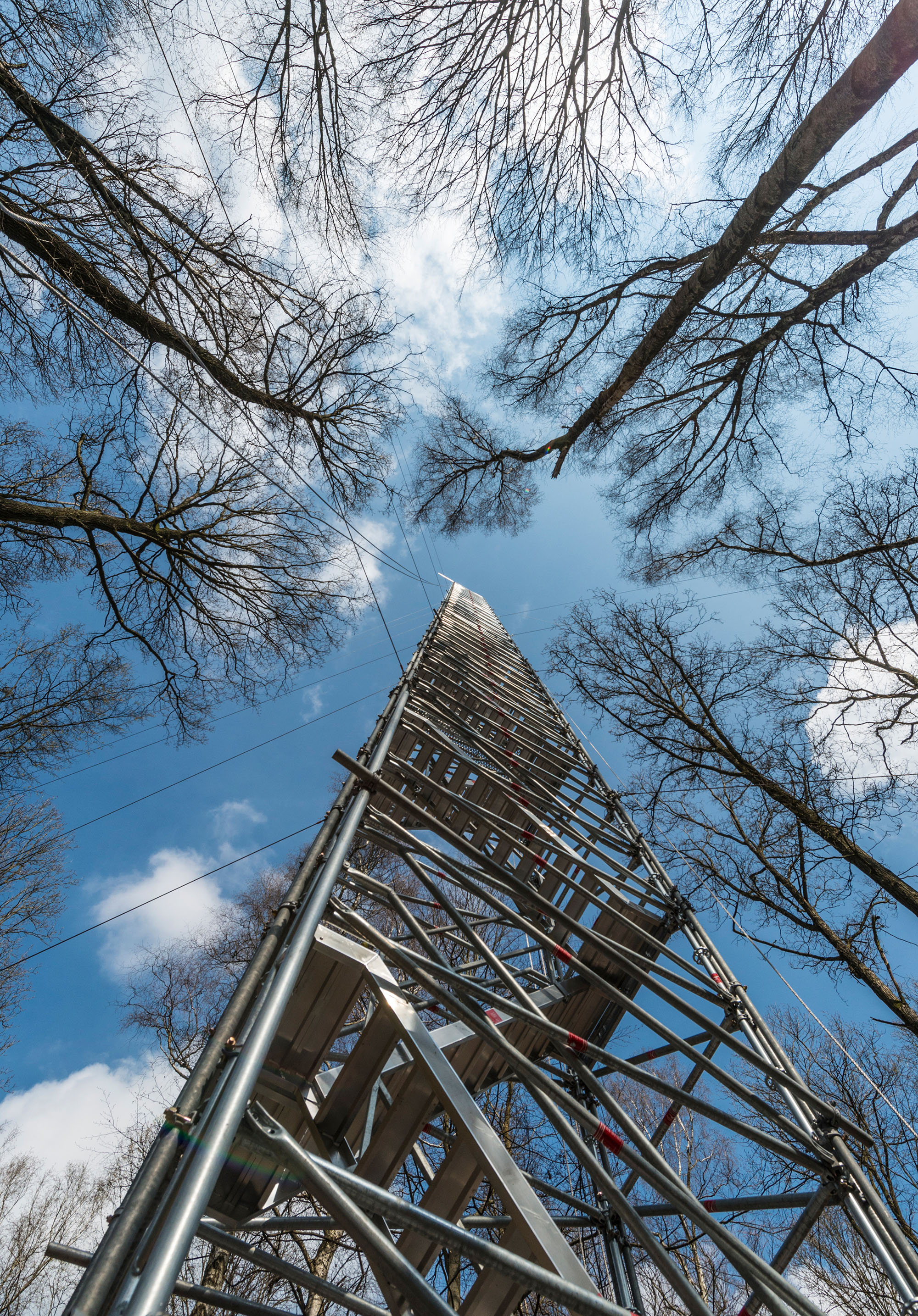50 m hoher Eddy-Kovarianzturm am Standort 'Hohes Holz'.