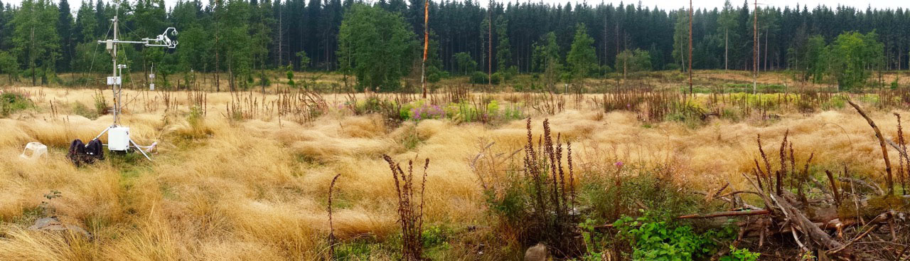 Mikrometeorologische Messstation auf einem abgeholzten Bereich des Beobachtungsstandortes Wüstebach