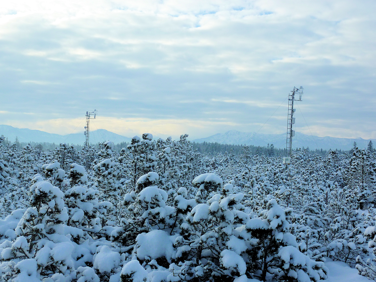 Der Messstandort Schechenfilz im Winter