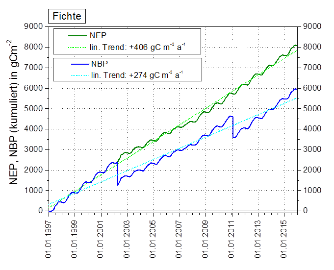 Netto-CO2-Senke (NEP) und Kohlenstoffbilanz des Altfichtenbestandes (NBP) sowie deren langfristige Trends an der Ankerstation Tharandter Wald 1997-2015