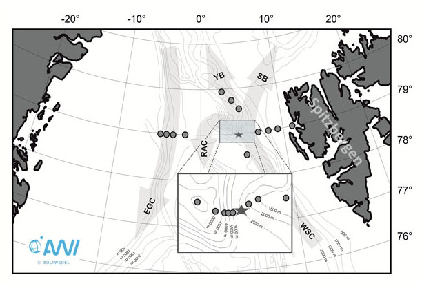 HAUSGARTEN stations in Fram Strait between Greenland and Svalbard; the asterisk indicates the position of the profiling ICOS-D mooring. WSC - West Spitsbergen Current, EGC - Eastern Greenland Current, RAC - Return Atlantic Current